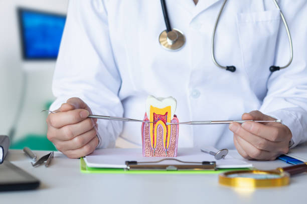 Best Emergency Dental Care for Broken or Chipped Teeth in North Zanesville, OH
